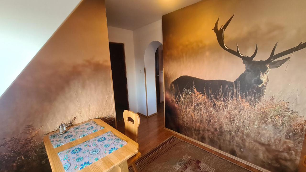 Wynajem Pokoi Magdalena Lägenhet Zakopane Exteriör bild